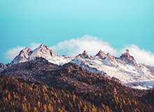 新赛季女冰联赛9月7日开打，队伍实力更均衡、比赛更具悬念